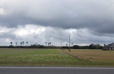31516240