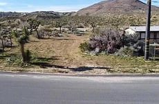 31550592