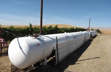 31561389