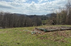 31604342