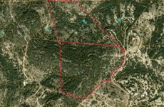 31606845