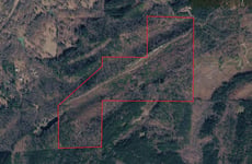 31607549