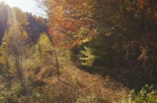 31634378