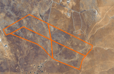 31649307