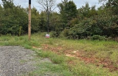 31654022