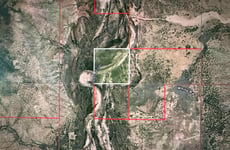 31657298