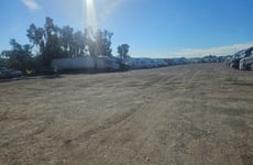 31660590
