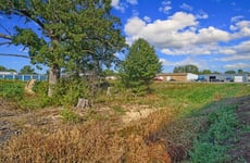 31664623