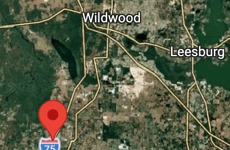 31665804
