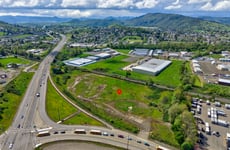 31668449