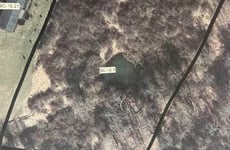 31676019