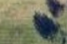 31701085