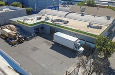 32001446