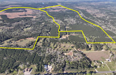 32007366