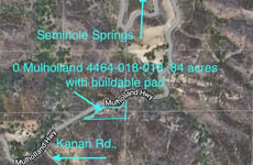 31765431