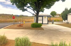 31767530