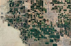 31780394