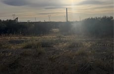 31806834