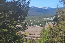 31993864