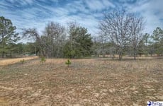 32249920