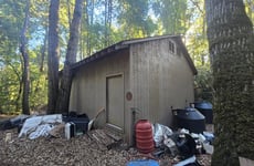 32320587