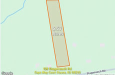 32355195