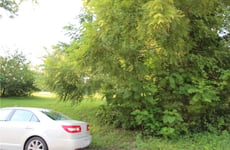32407681