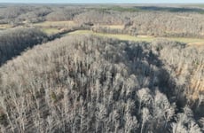 32417452