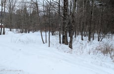 32590918