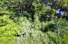 32765120