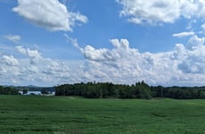 33030416