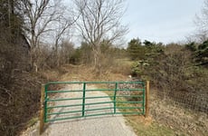 33134865