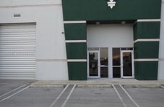 33155784