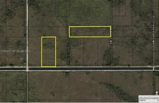 33155788
