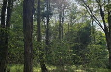 33222490