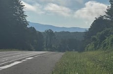33425990