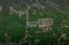 33695141