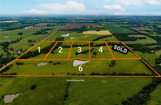 33695401