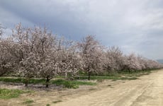 33721649