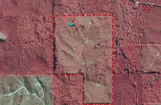 33738162