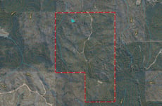 33738163