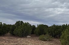 33744179
