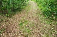 33764171