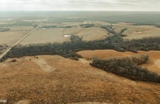 33792474