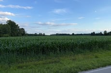 33895918