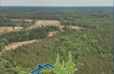 33916336