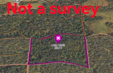 33944274