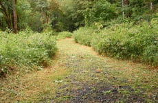 33946802