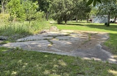 33981123