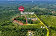33995002